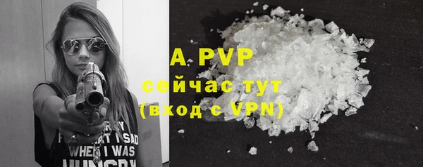 ECSTASY Абаза