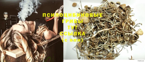 гидра Абдулино