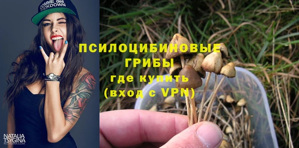 ECSTASY Абаза