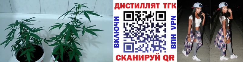 Дистиллят ТГК концентрат  Старый Крым 