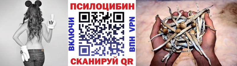 Галлюциногенные грибы Cubensis  Старый Крым 